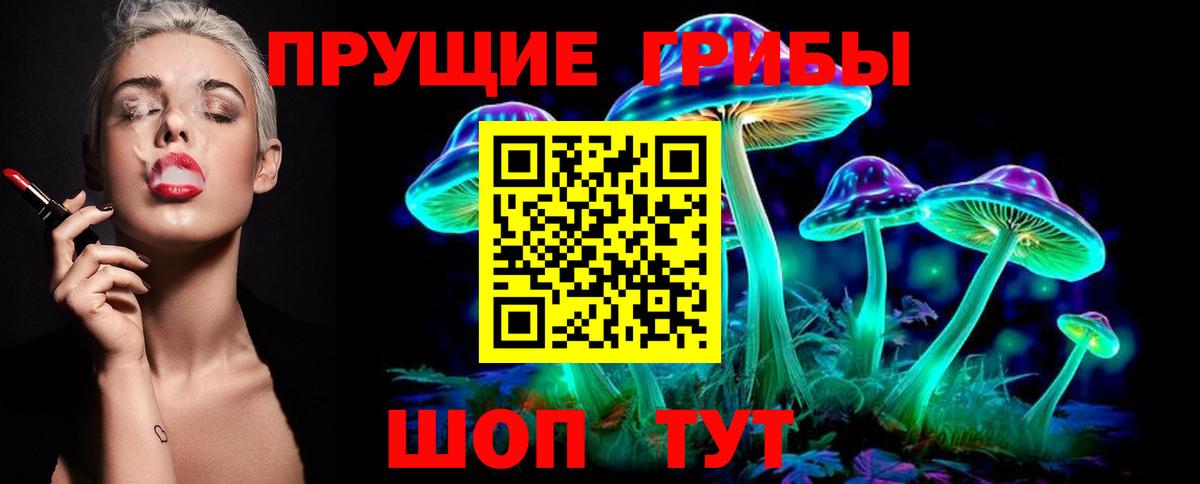 как найти наркотики  Вход с VPN  Тихвин  Псилоцибиновые грибы MAGIC MUSHROOMS 